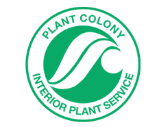 PLANT COLONY